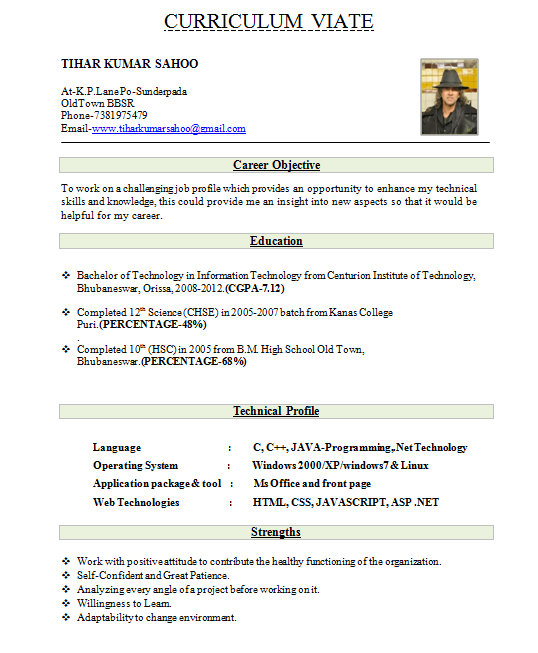 Fresher Resume Format Download in Ms Word