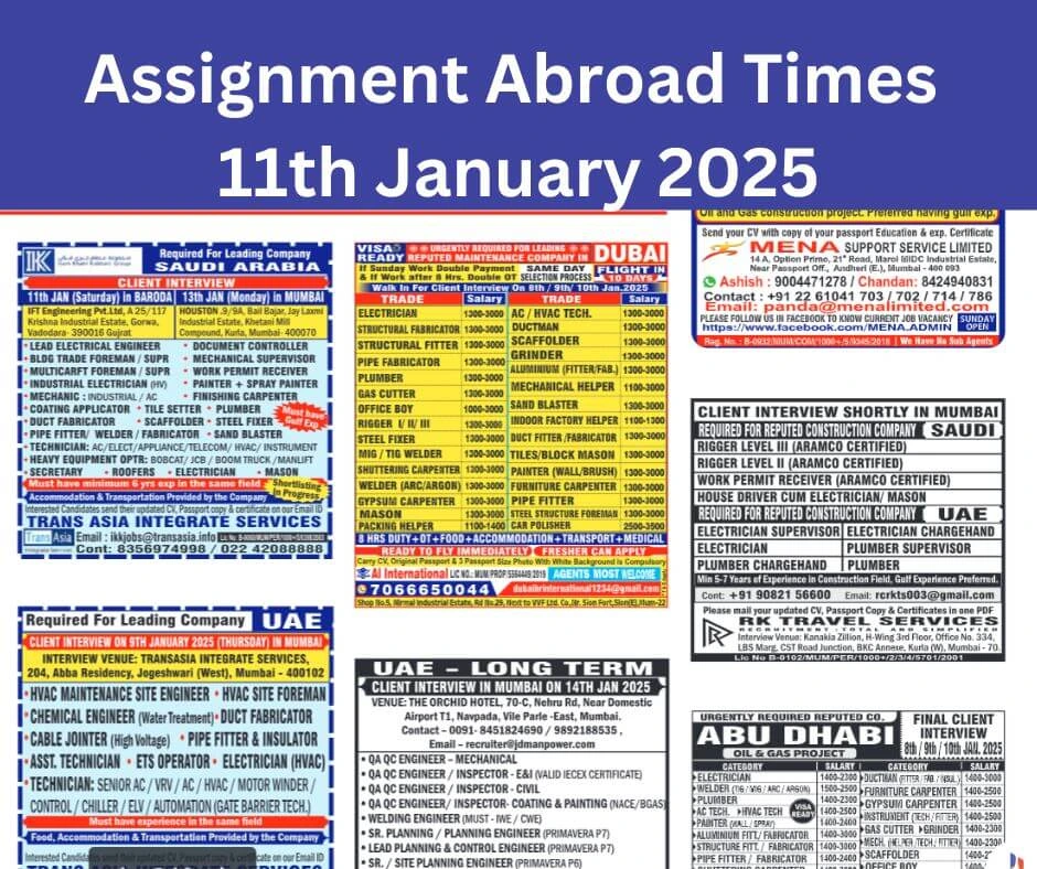 Assignment abroad times pdf today 11 January 2025