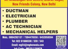 Gulf jobs vacancies today, overseas employment updates newspaper jobs, 20 Feb 2026