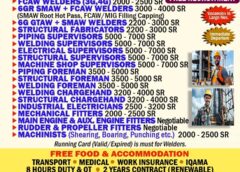 Urgent requirement for Saudi Arabia, interview in kerela